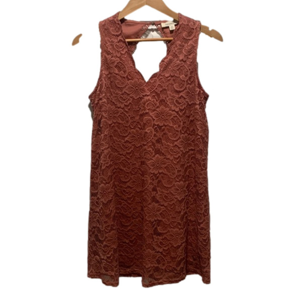 Francesca's Collections Dresses & Skirts - FRANCESCA’S Lace Dress